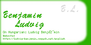 benjamin ludvig business card